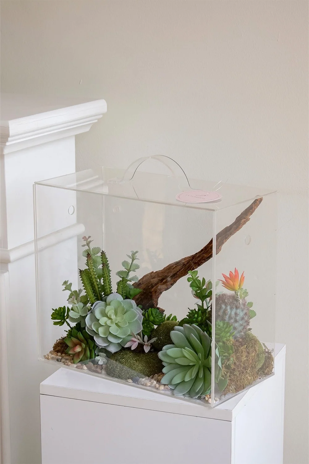 terrarium-sen-da-24