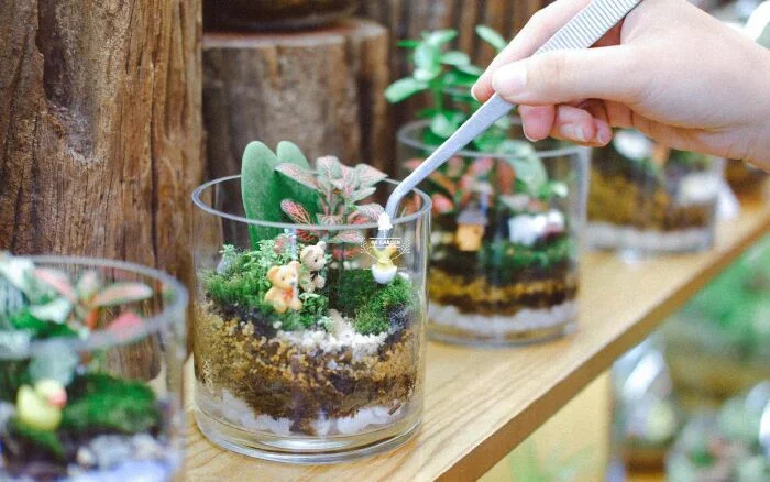 tieu-canh-terrarium-7