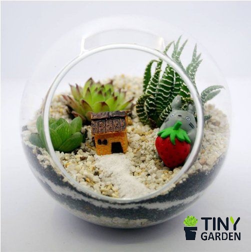 Hướng dẫn làm tiểu cảnh mini độc đáo - Tiny Garden
